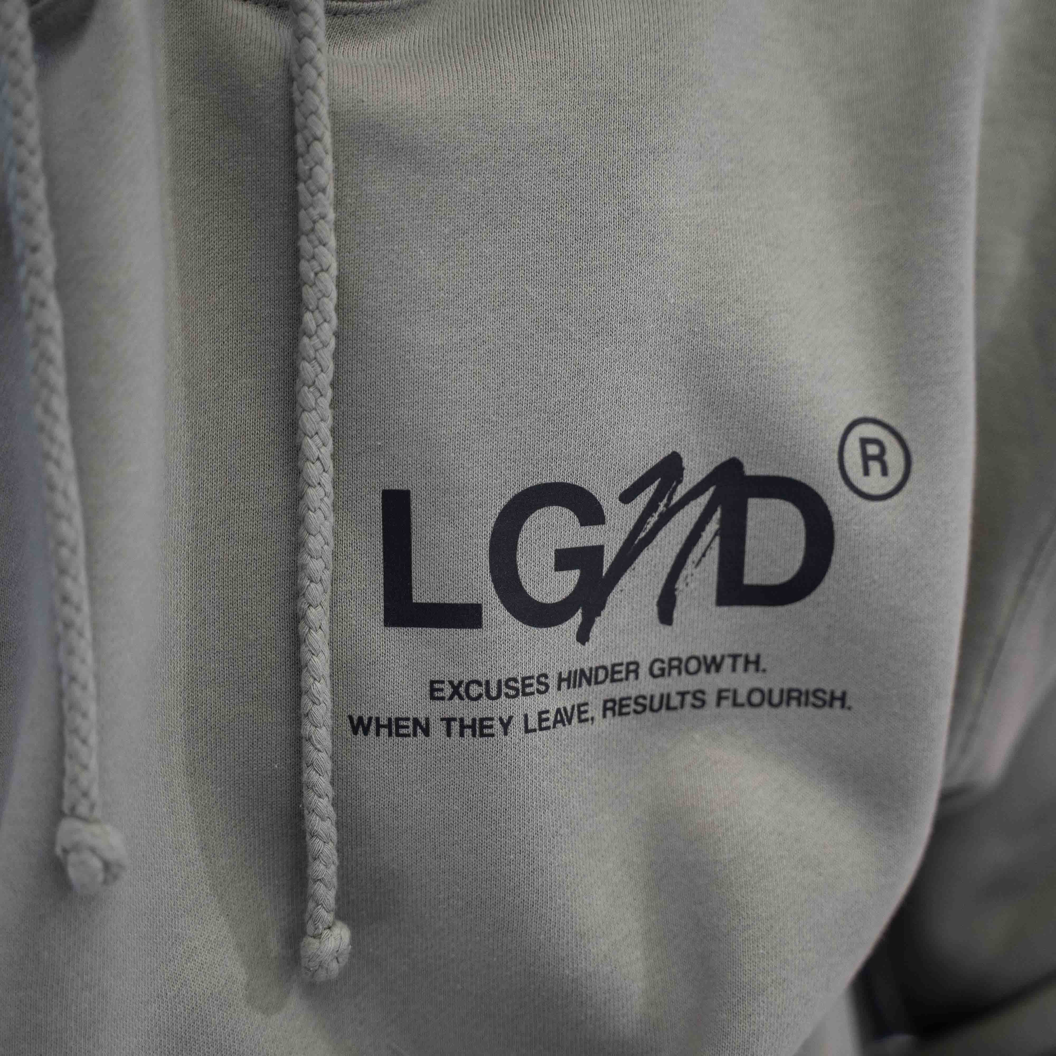 Excuse-Free Heavyweight Hoodie - Image 3