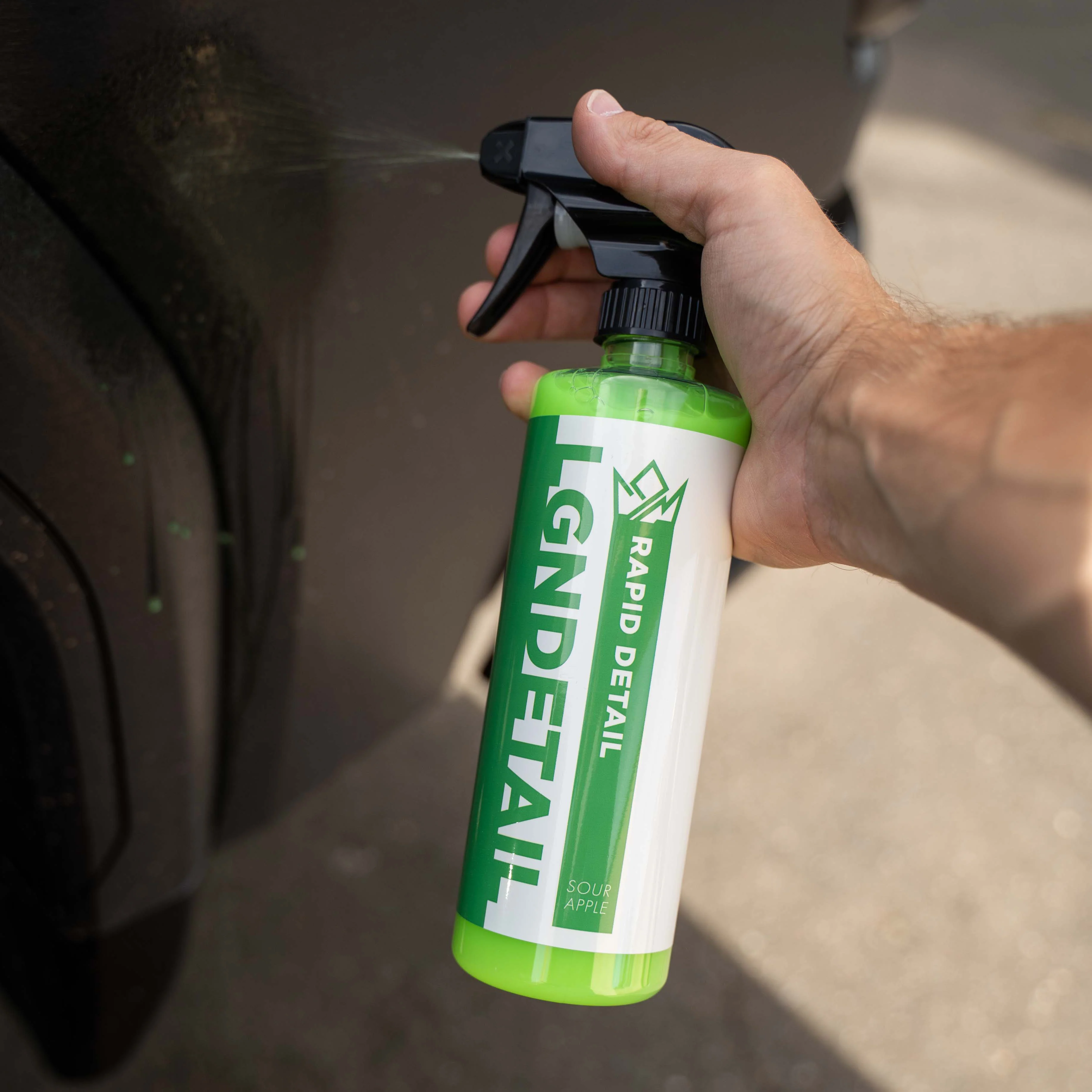 Rapid Detail - Image 3