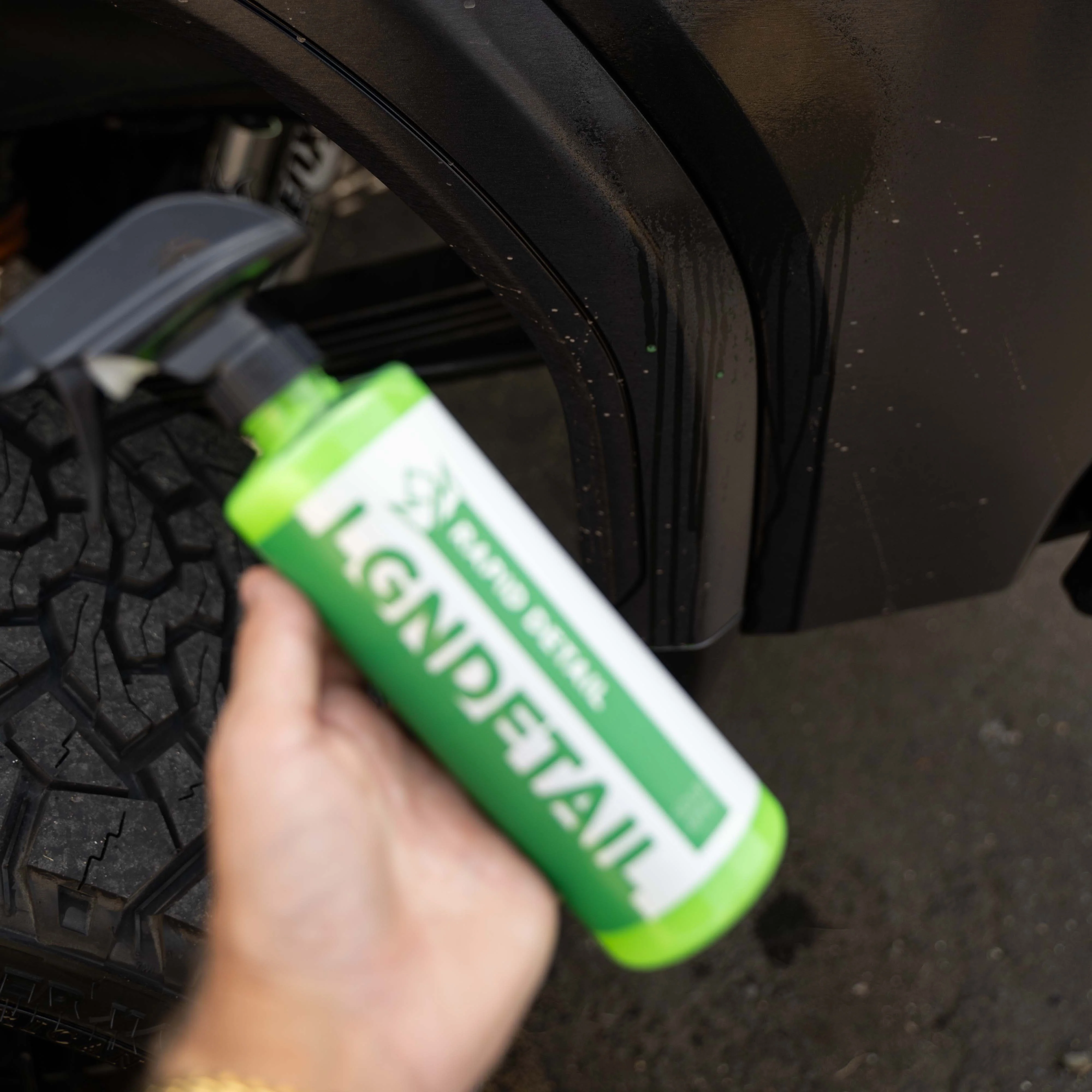 Rapid Detail - Image 4